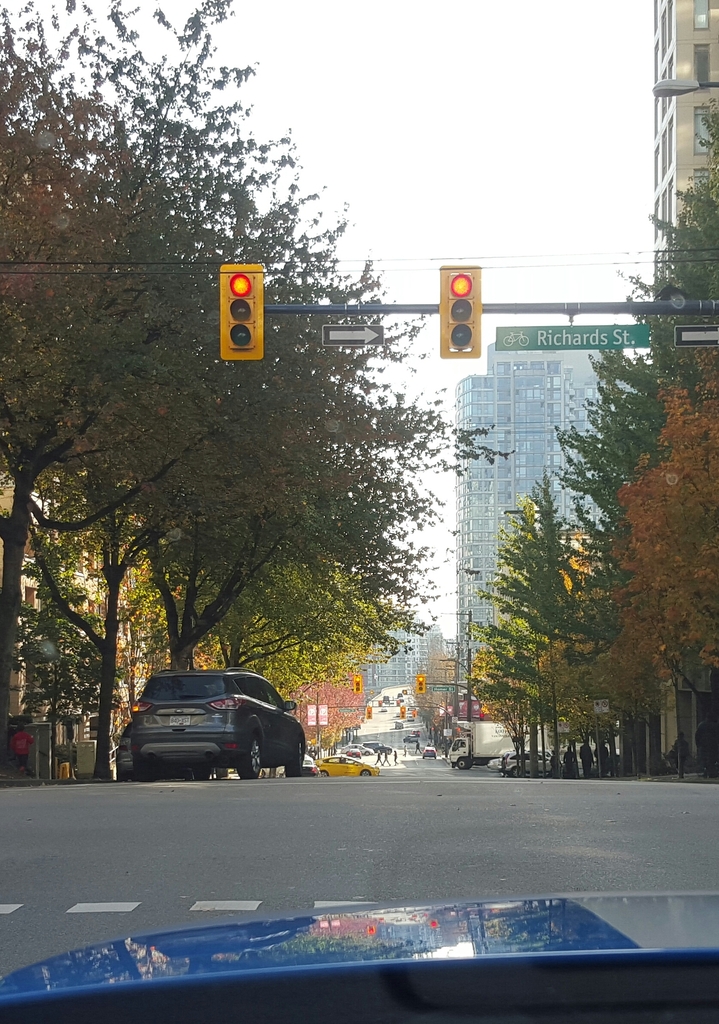 Name:  20151023_115437-1_zpseiyaw415.jpg
Views: 89
Size:  567.6 KB