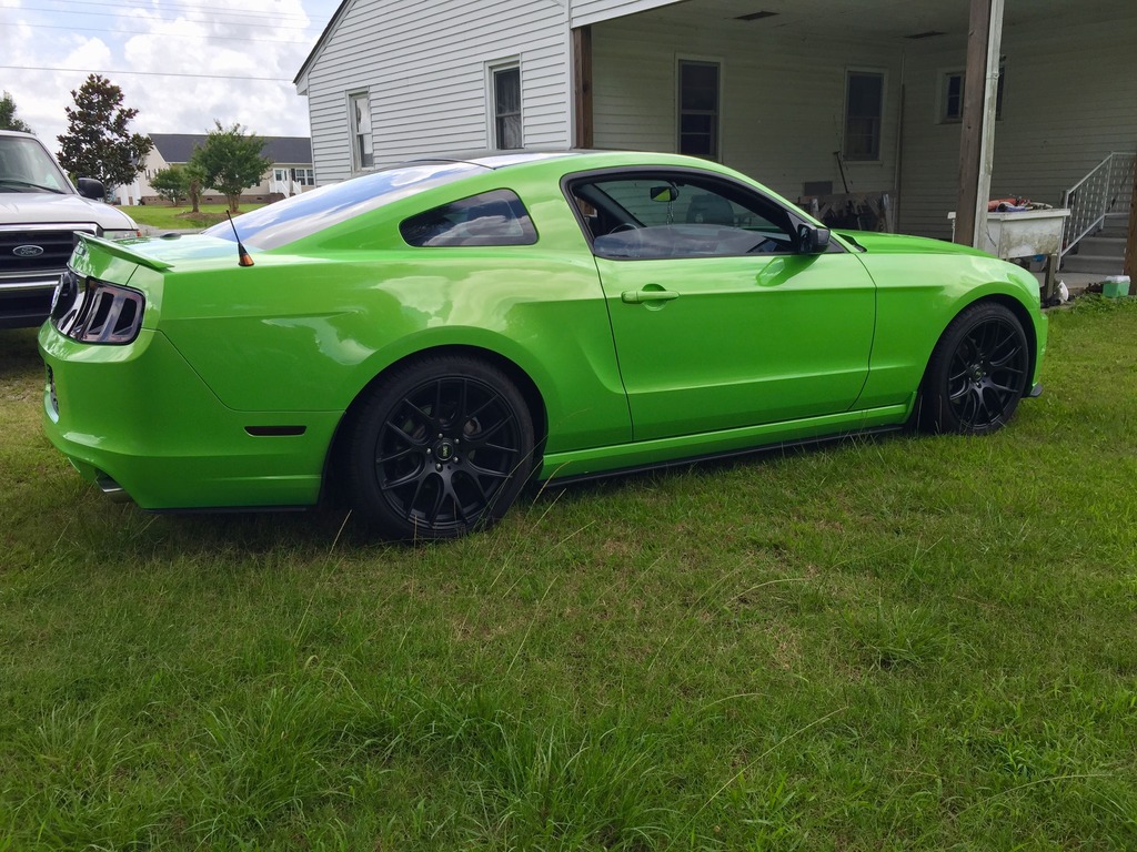 Name:  Stang1.jpg
Views: 119
Size:  277.5 KB