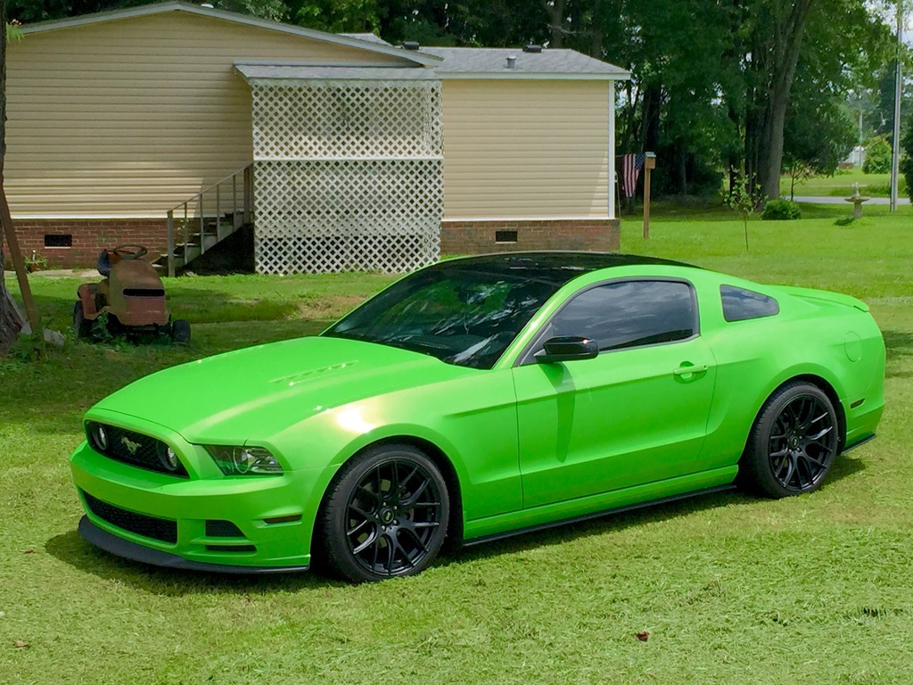 Name:  Stang2.jpg
Views: 321
Size:  280.3 KB