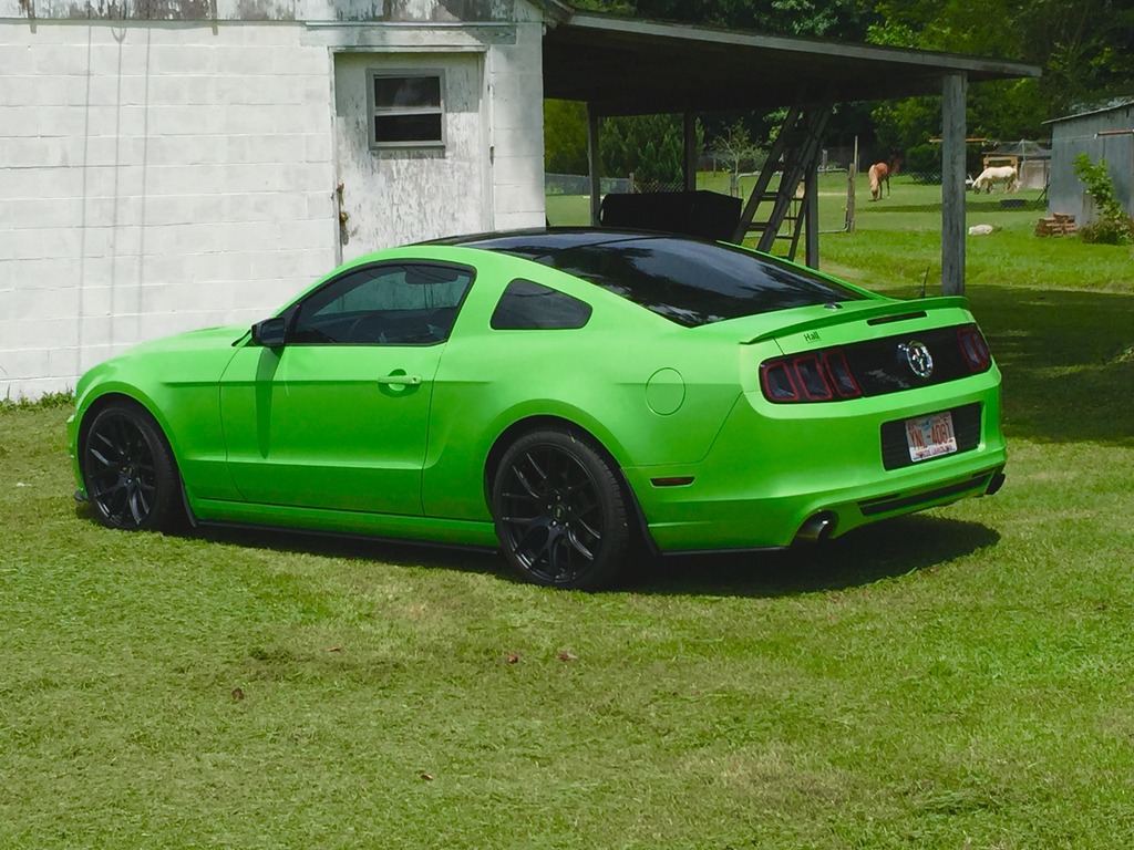 Name:  Stang3.jpg
Views: 291
Size:  255.2 KB