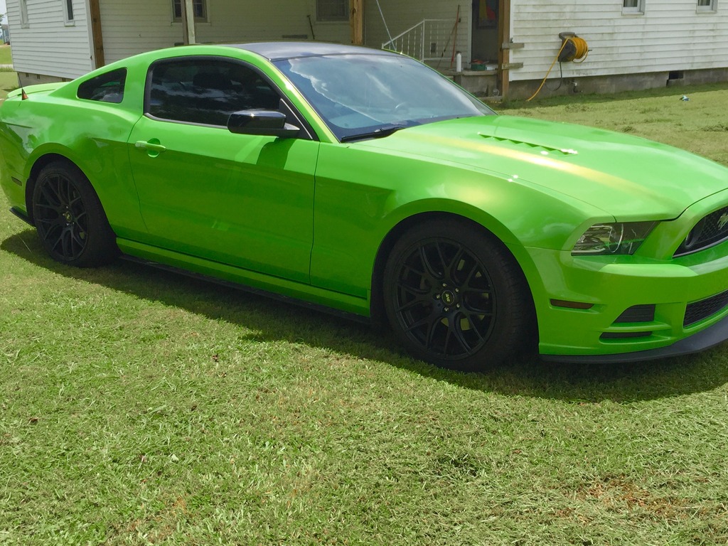 Name:  Stang4.jpg
Views: 76
Size:  290.2 KB