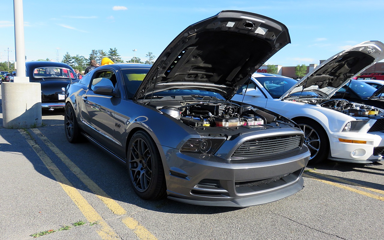 Name:  2015-06-26_TargetNashua1_zpsijd11f5r.jpg
Views: 127
Size:  458.8 KB