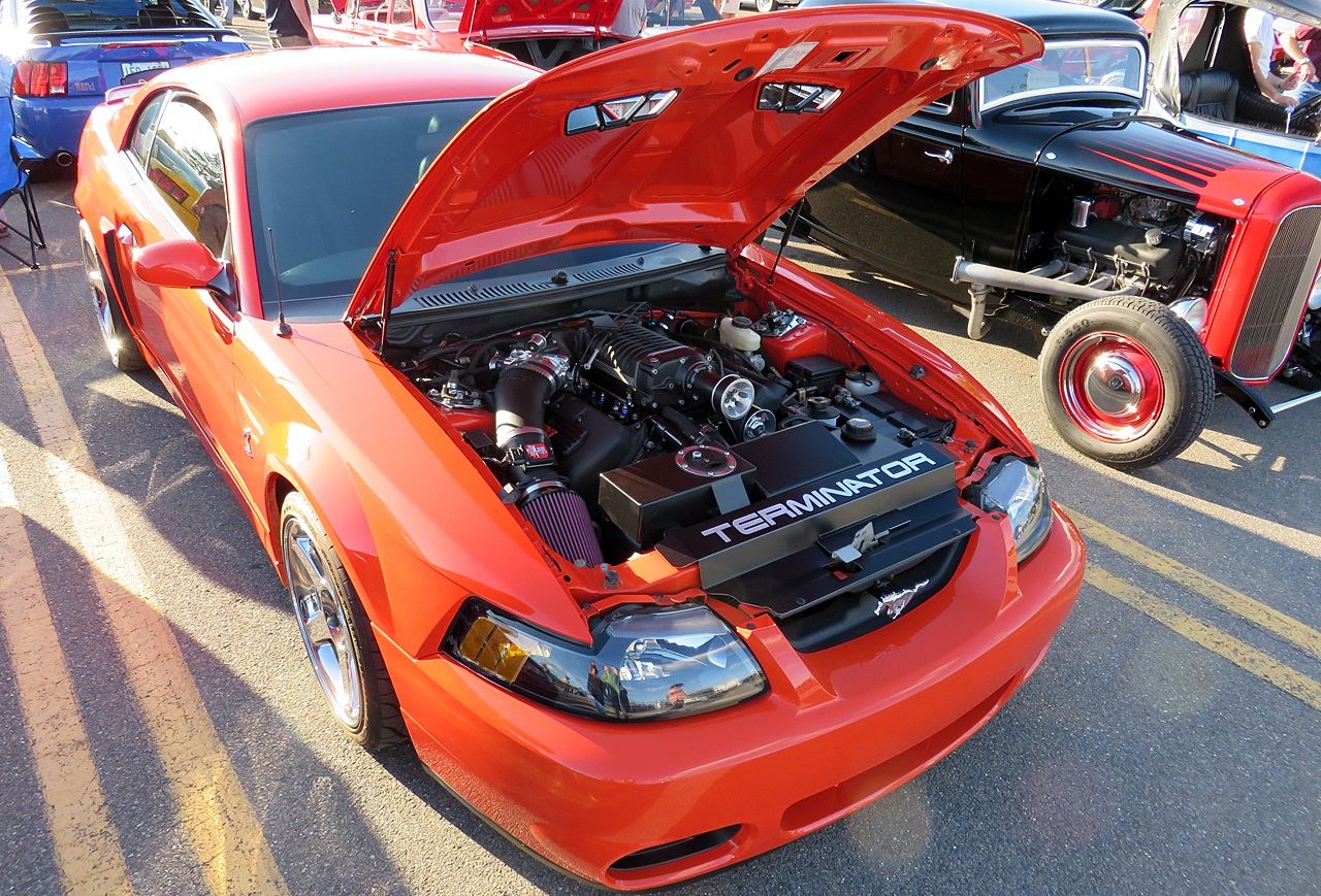 Name:  2015-06-26_TargetNashua9_zpsqcv0v1k0.jpg
Views: 129
Size:  591.9 KB