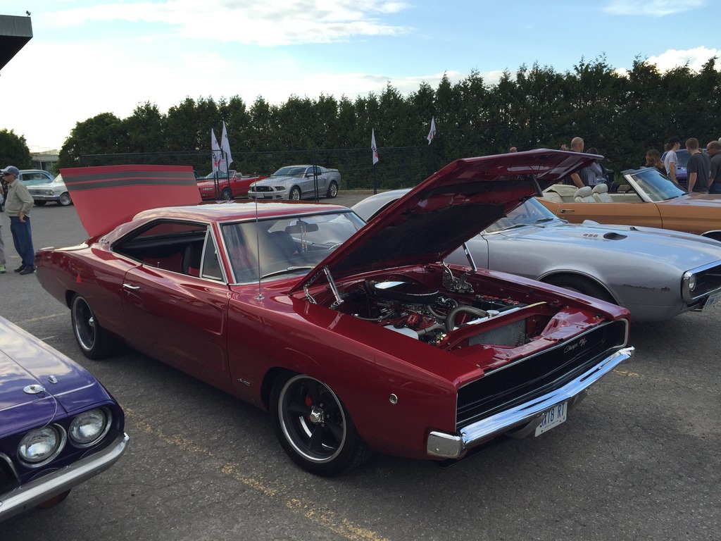 Name:  IMG_7473_zps30r9cv6a.jpg
Views: 93
Size:  242.2 KB