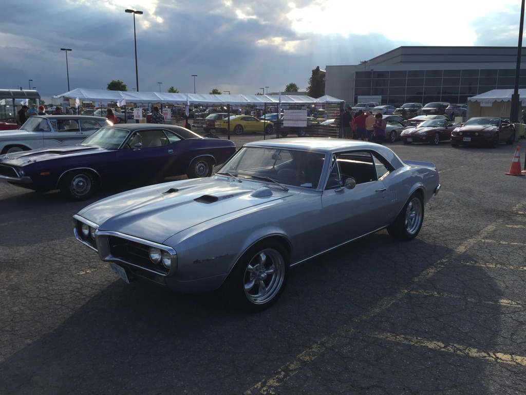 Name:  IMG_7460_zpskdoguilp.jpg
Views: 90
Size:  207.6 KB