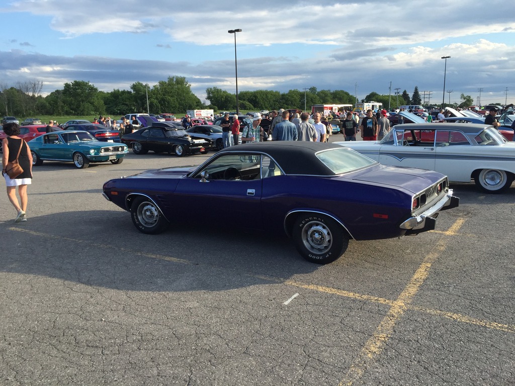 Name:  IMG_7459_zpsiewirzvc.jpg
Views: 47
Size:  298.7 KB