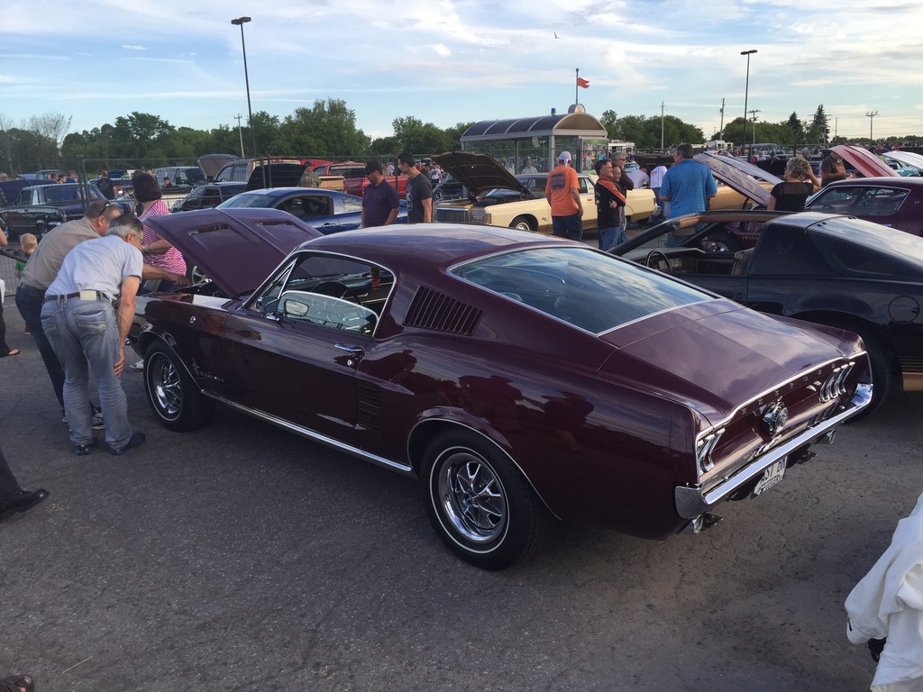 Name:  IMG_7441_zpstttpzlrt.jpg
Views: 63
Size:  239.2 KB