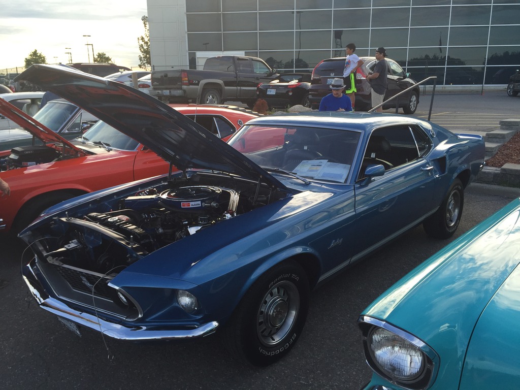 Name:  IMG_7440_zpsjqtjtadj.jpg
Views: 73
Size:  224.5 KB