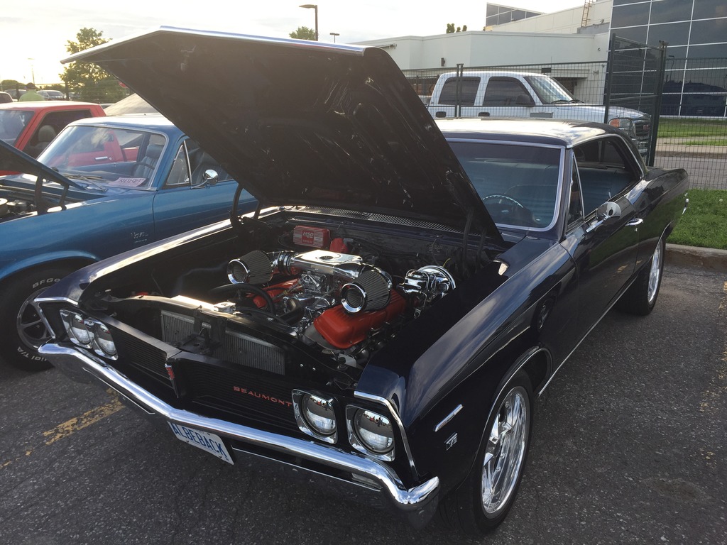 Name:  IMG_7432_zpsga4xdthk.jpg
Views: 64
Size:  241.1 KB