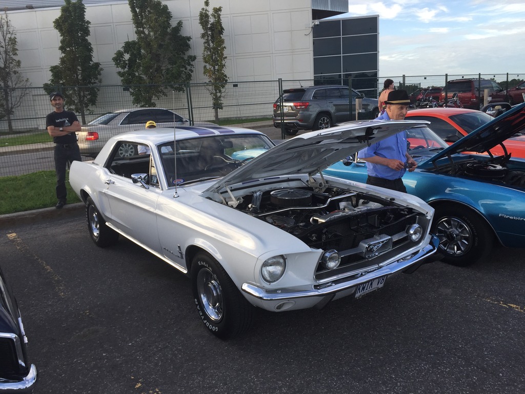 Name:  IMG_7431_zpshaanbmgu.jpg
Views: 72
Size:  255.2 KB