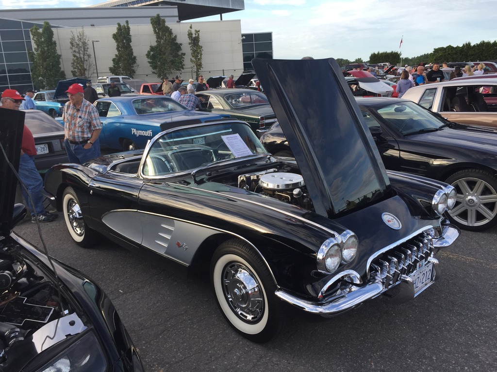 Name:  IMG_7427_zps9e7a65ds.jpg
Views: 65
Size:  274.1 KB