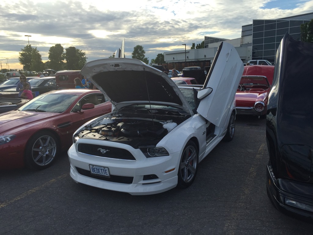 Name:  IMG_7421_zpsqndj0igb.jpg
Views: 55
Size:  200.8 KB