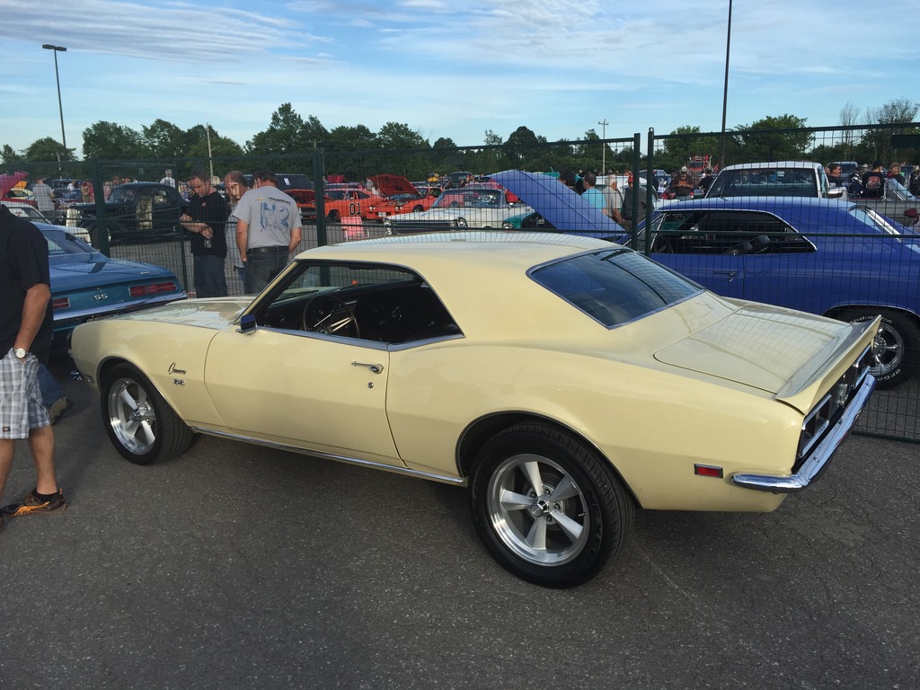 Name:  IMG_7415_zpsr40peqov.jpg
Views: 44
Size:  237.1 KB