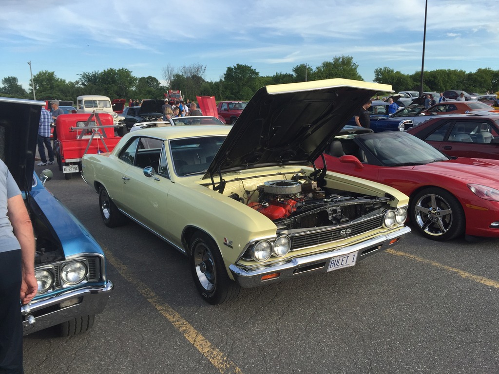 Name:  IMG_7401_zpsgdvwqajp.jpg
Views: 49
Size:  268.0 KB