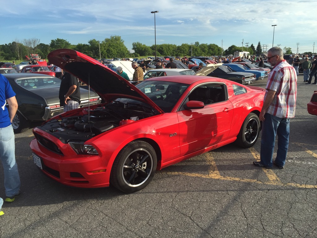 Name:  IMG_7397_zps682pqbrc.jpg
Views: 62
Size:  289.4 KB