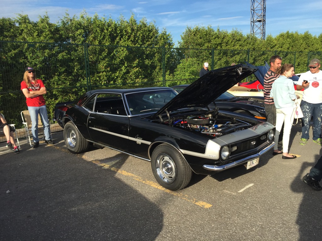 Name:  IMG_7395_zpsyduch3ul.jpg
Views: 69
Size:  335.1 KB