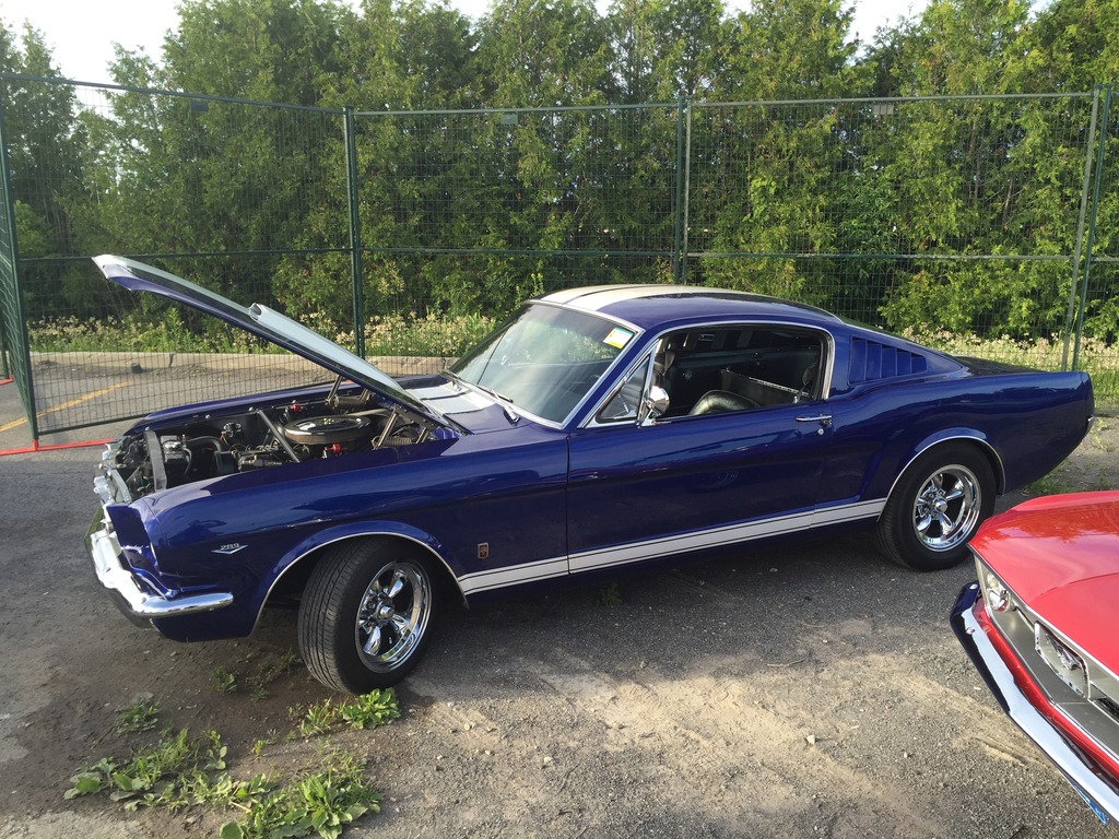 Name:  IMG_7393_zps2jovrtku.jpg
Views: 65
Size:  361.8 KB