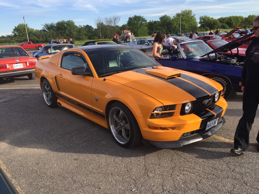 Name:  IMG_7386_zpsyxp4al1k.jpg
Views: 48
Size:  302.5 KB