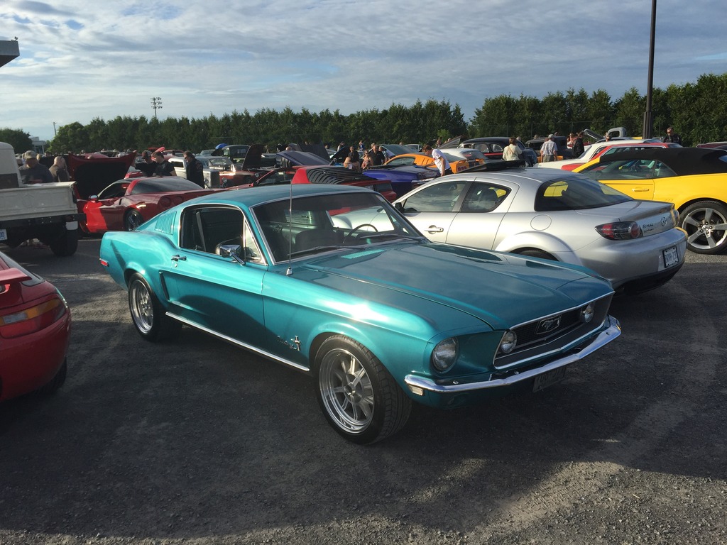 Name:  IMG_7385_zpsogggzxbq.jpg
Views: 82
Size:  242.9 KB