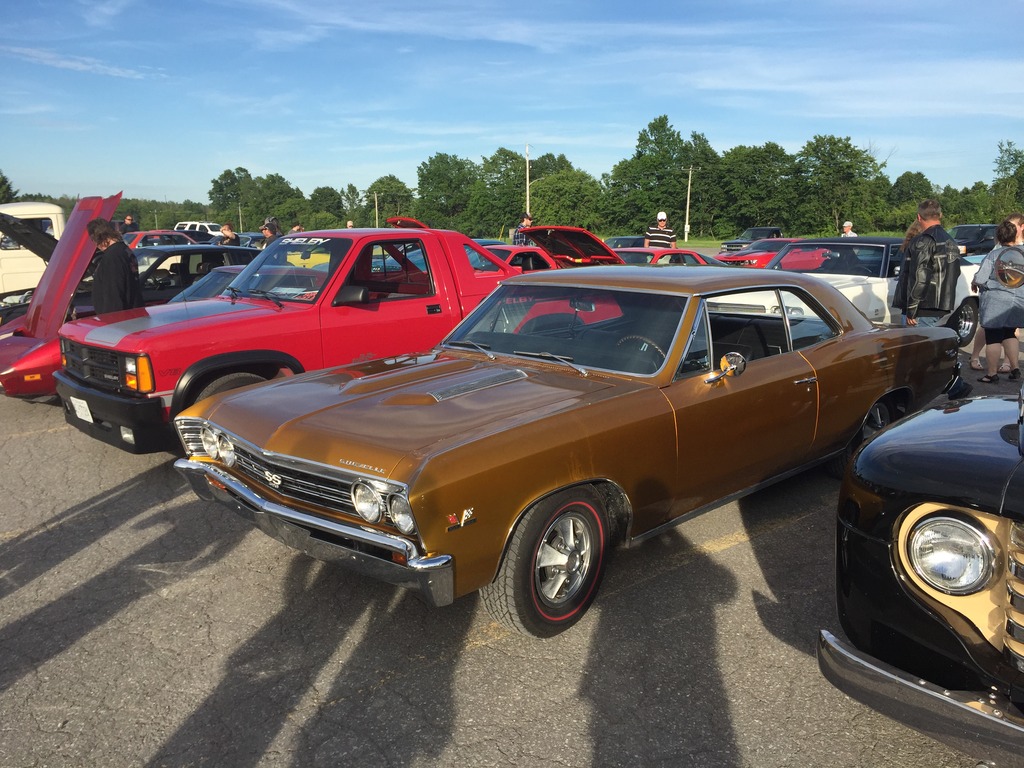 Name:  IMG_7382_zpskcel5amw.jpg
Views: 91
Size:  265.6 KB