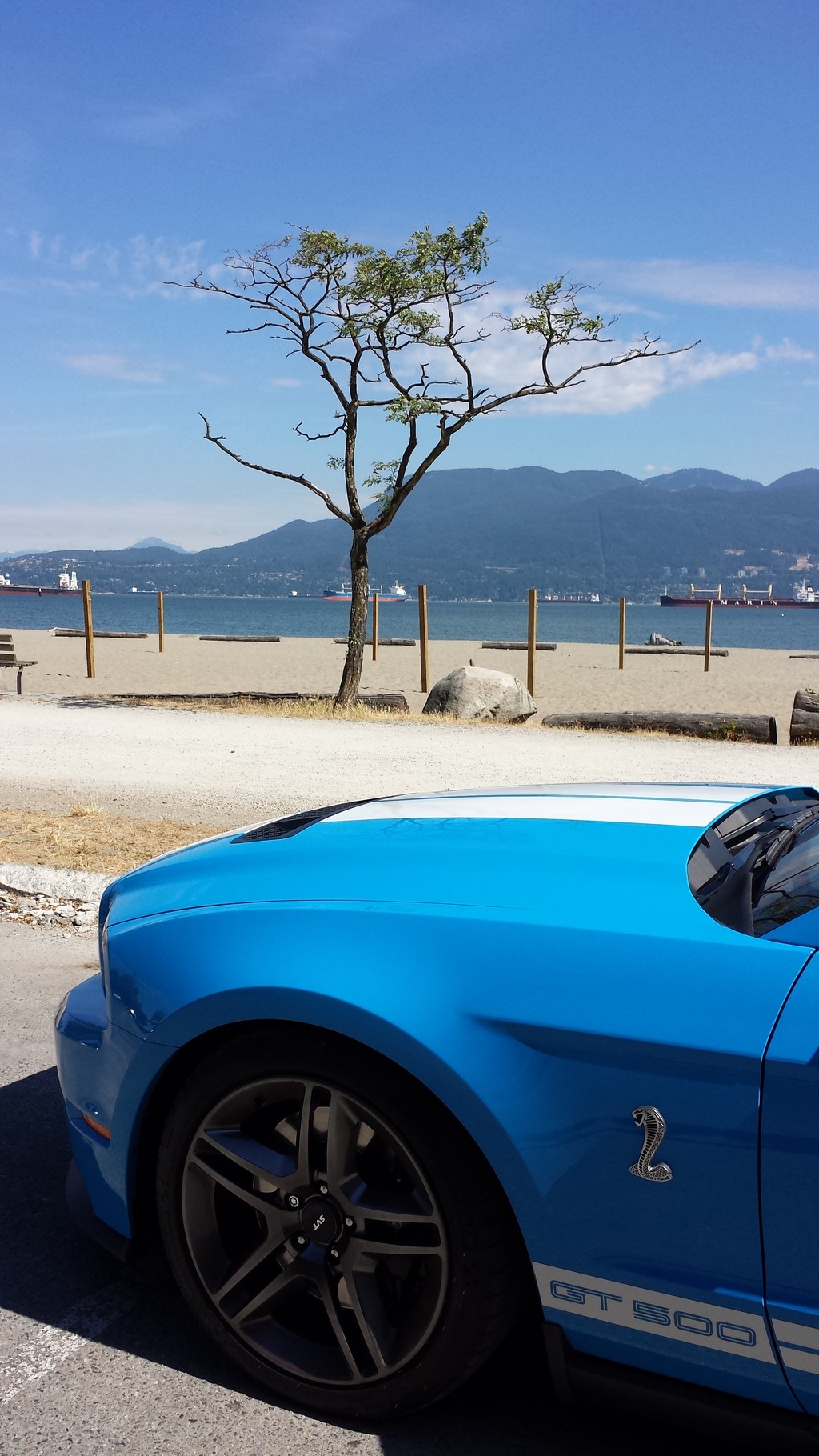 Name:  20150622_102754_zps2ziprjts.jpg
Views: 89
Size:  428.2 KB