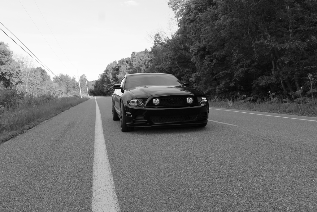 Name:  IMG_2032.jpg
Views: 170
Size:  409.3 KB