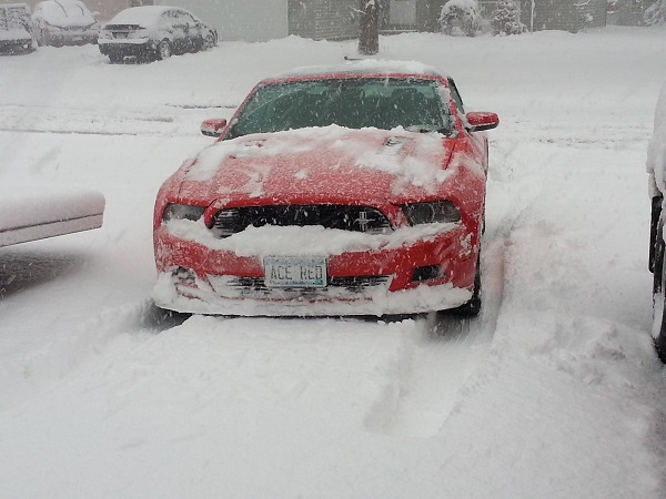 Name:  stuck2resised.jpg
Views: 91
Size:  92.0 KB