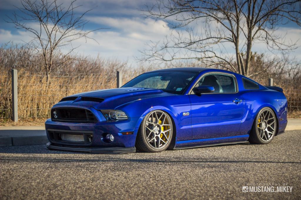 Name:  IMG_8304_zpsfb9346fb.jpg
Views: 199
Size:  137.4 KB