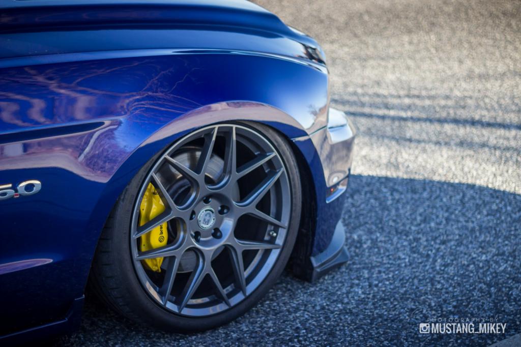 Name:  IMG_8327_zps29b46552.jpg
Views: 92
Size:  96.8 KB