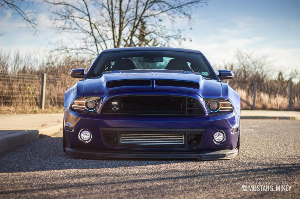 Name:  IMG_8320_zps6590c76d.jpg
Views: 125
Size:  111.6 KB