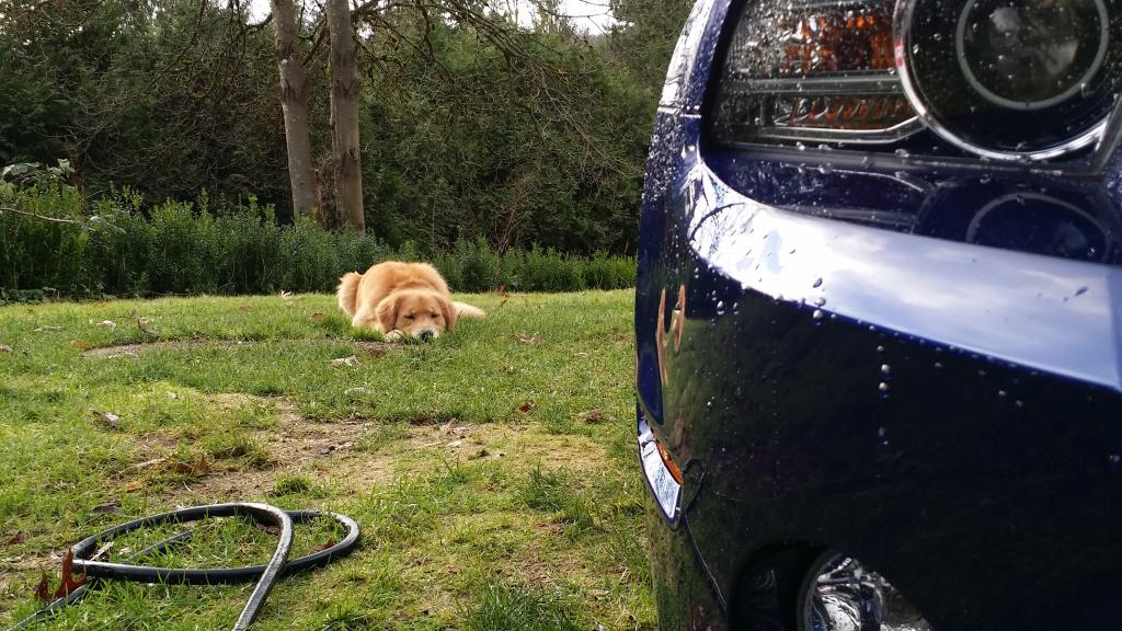 Name:  20141212_141538_zpskot10kz4.jpg
Views: 88
Size:  140.8 KB