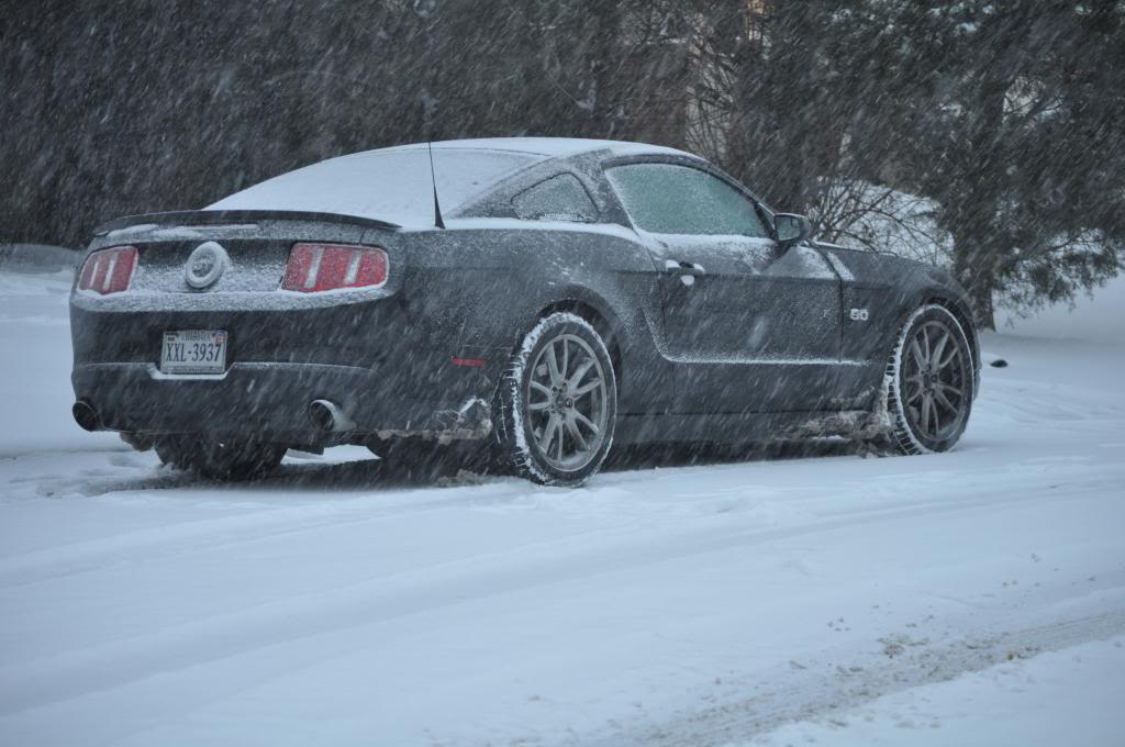 Name:  DSC_0011.jpg
Views: 306
Size:  81.2 KB