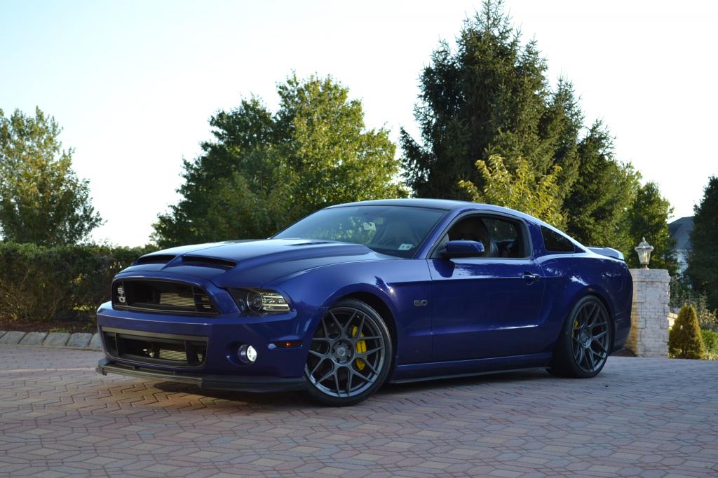 Name:  DSC_0092_zps74953233.jpg
Views: 1355
Size:  103.8 KB