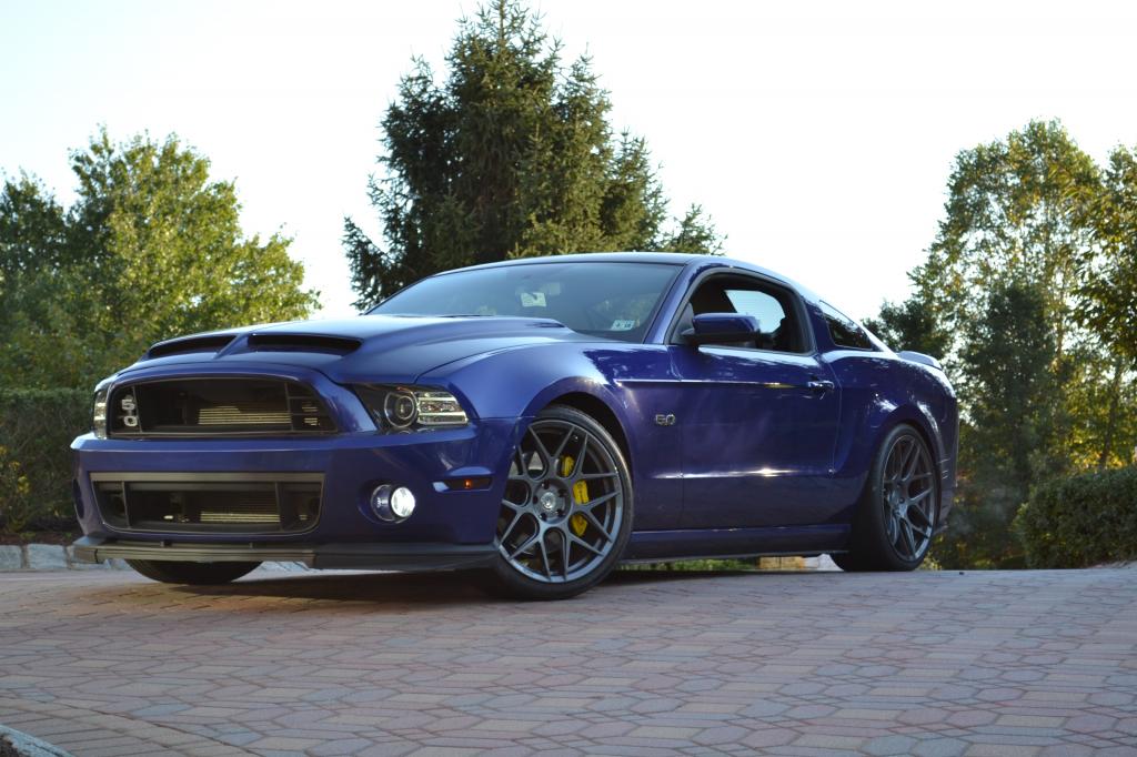 Name:  DSC_0099_zps03376116.jpg
Views: 490
Size:  104.7 KB