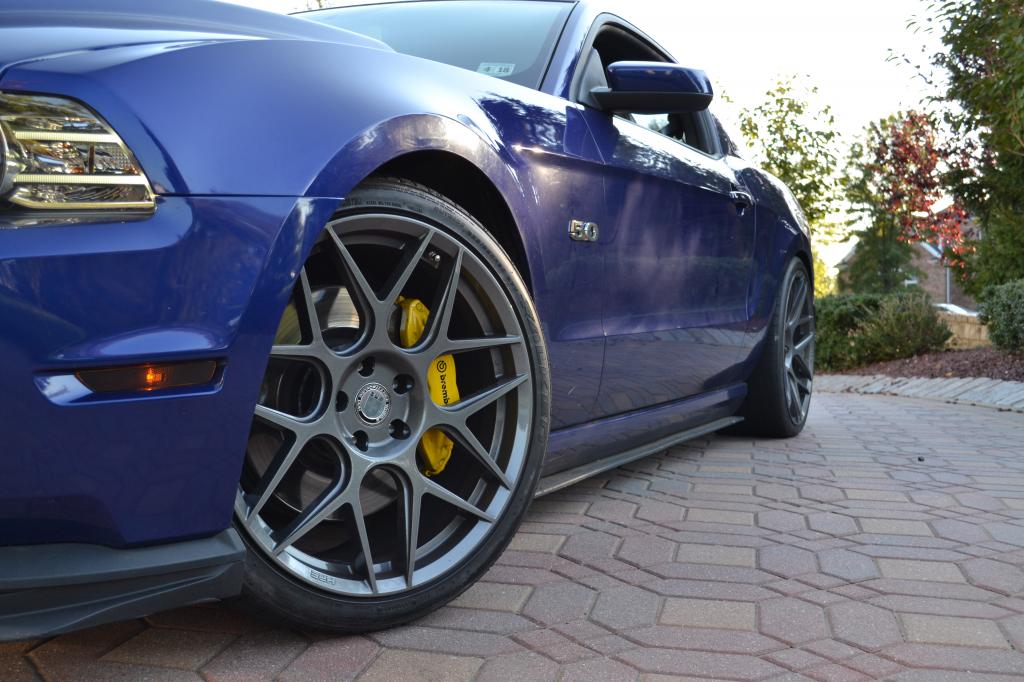 Name:  DSC_0100_zpscf9ecbc5.jpg
Views: 362
Size:  104.9 KB