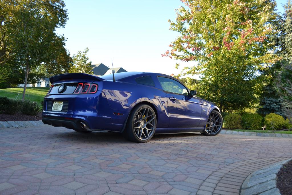 Name:  DSC_0101_zps51777512.jpg
Views: 272
Size:  145.8 KB