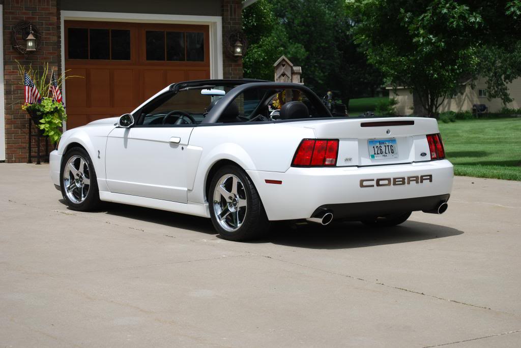 Name:  DSC_0259_zpsd18a763a.jpg
Views: 46
Size:  80.4 KB