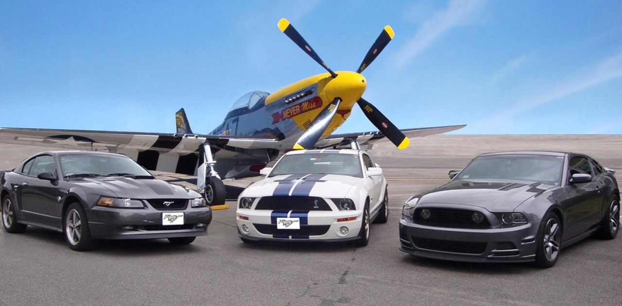 Name:  GabeStangtripleSPECIAL_zps7d138371.jpg
Views: 89
Size:  222.8 KB