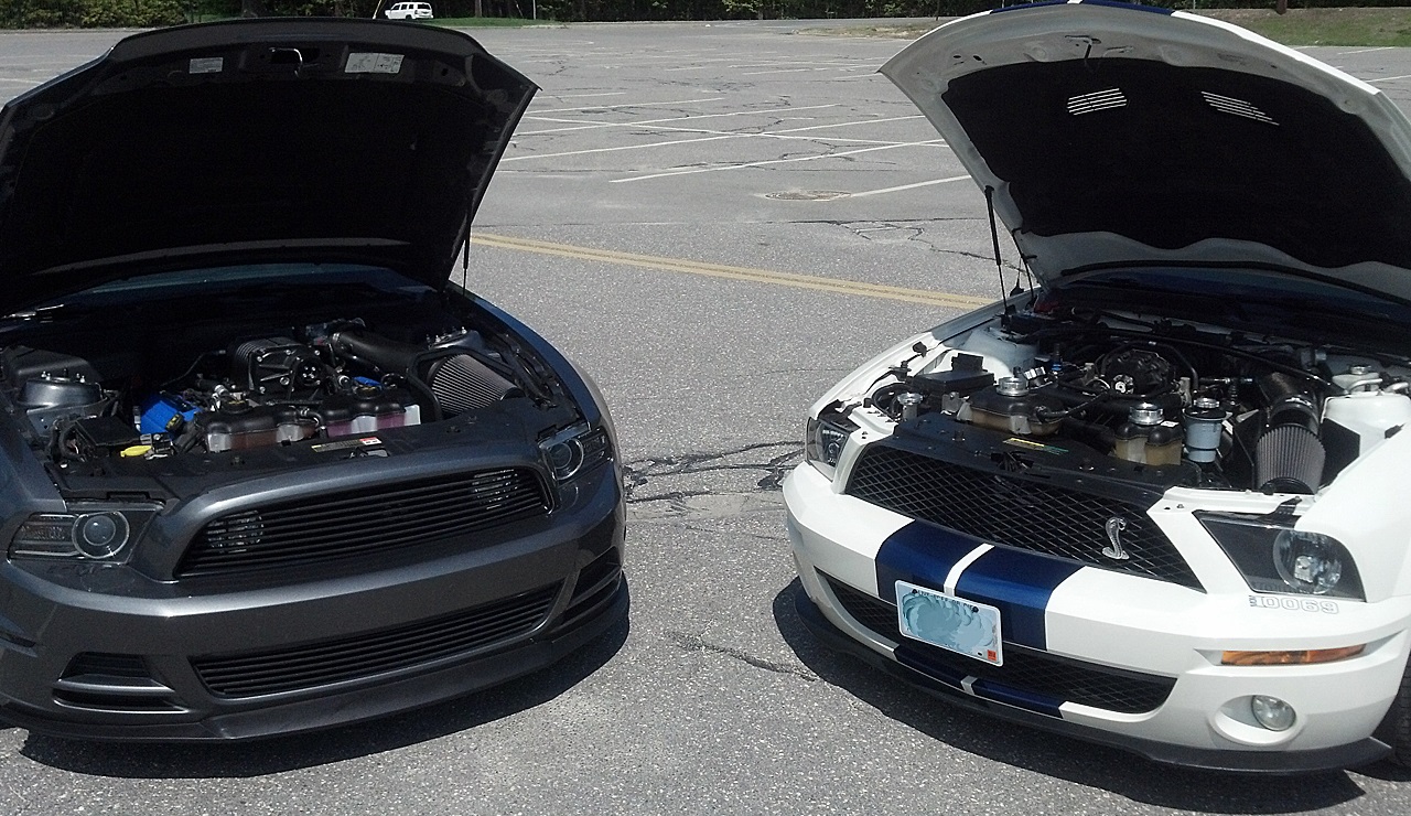 Name:  2014-05-25_wSNAKB1T-4_zpsace21526.jpg
Views: 73
Size:  430.8 KB