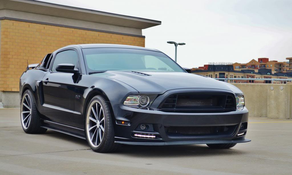 Name:  DSC_0033_zps54dbdc01.jpg
Views: 46
Size:  61.4 KB