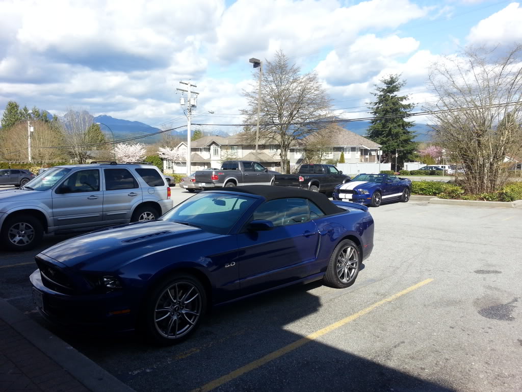 Name:  20140409_152958_zps249dff8c.jpg
Views: 109
Size:  176.8 KB