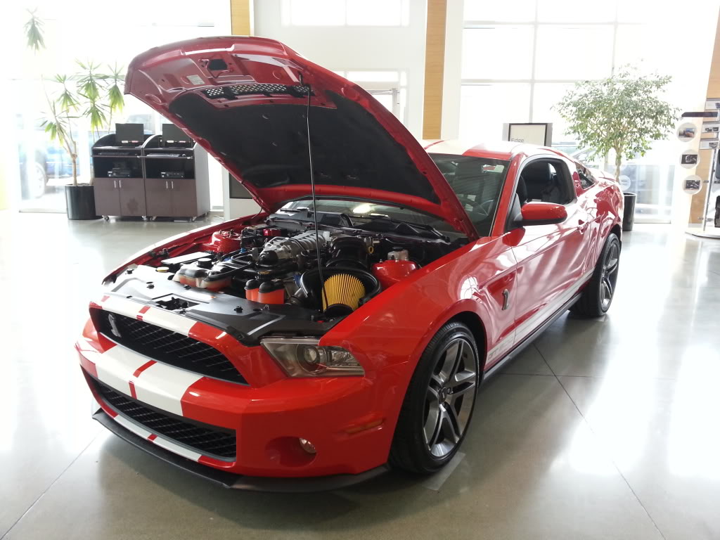 Name:  20140403_140852_zps8037ce2f.jpg
Views: 81
Size:  121.6 KB