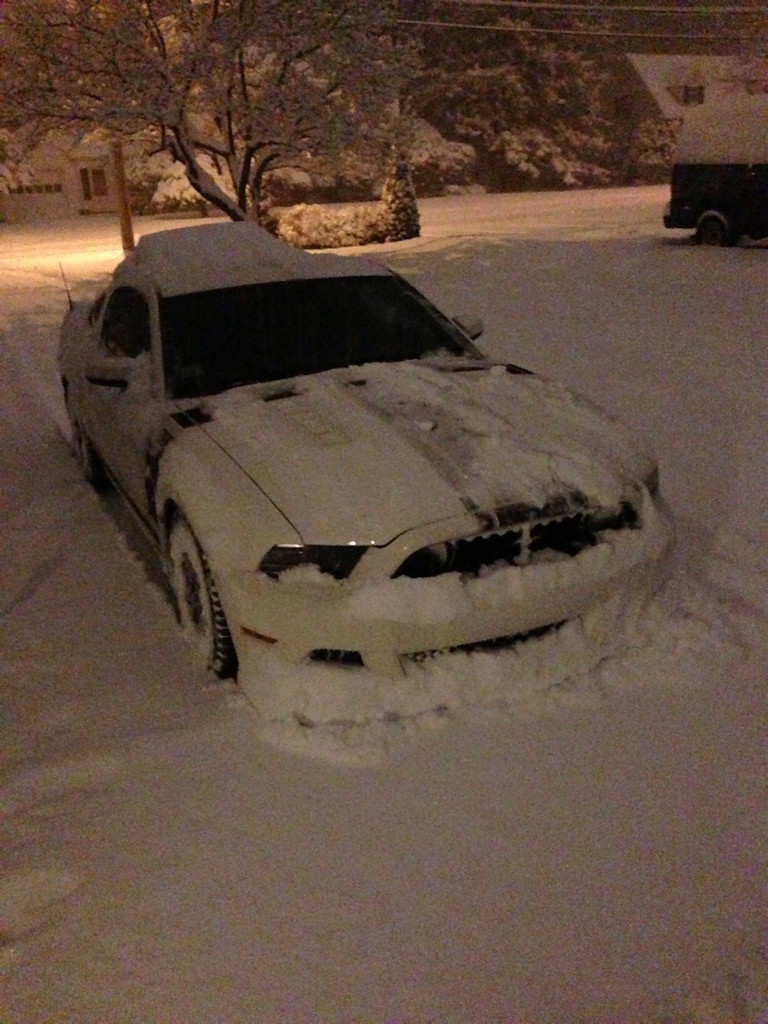 Name:  819B718A-F935-4D8B-9A87-600317514165-1878-000000CAAF10B770.jpg
Views: 20
Size:  313.6 KB