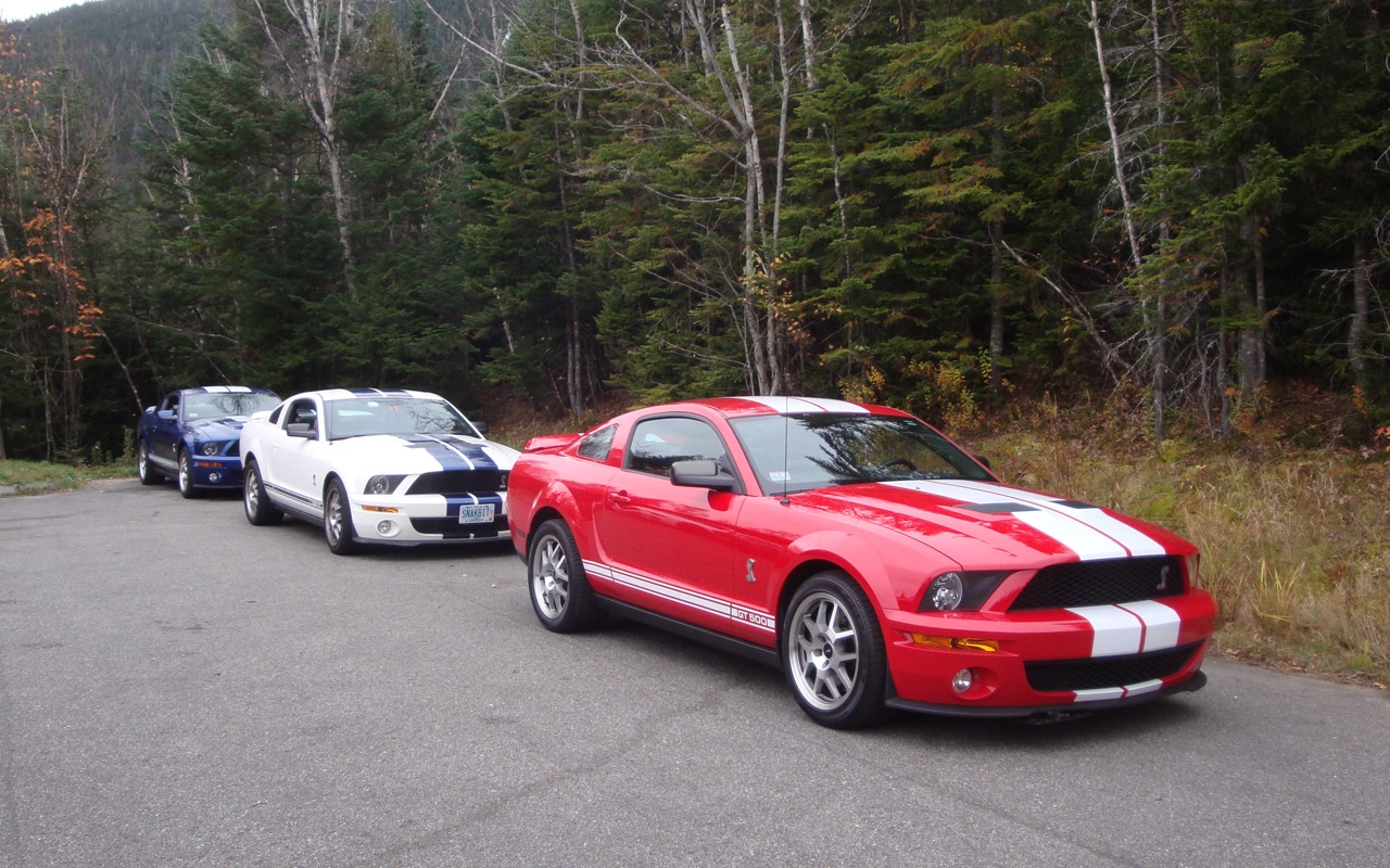 Name:  DSC07688e_zps059ab5a8.jpg
Views: 42
Size:  445.8 KB