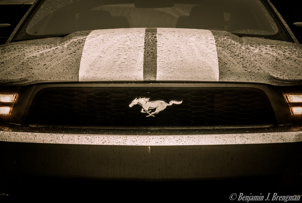 Name:  005.jpg
Views: 65
Size:  239.8 KB