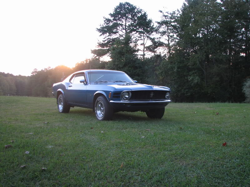 Name:  Mustang062.jpg
Views: 4068
Size:  119.4 KB