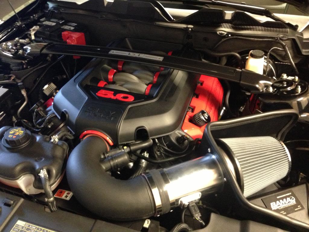 Name:  IMG_0755.jpg
Views: 80
Size:  111.6 KB