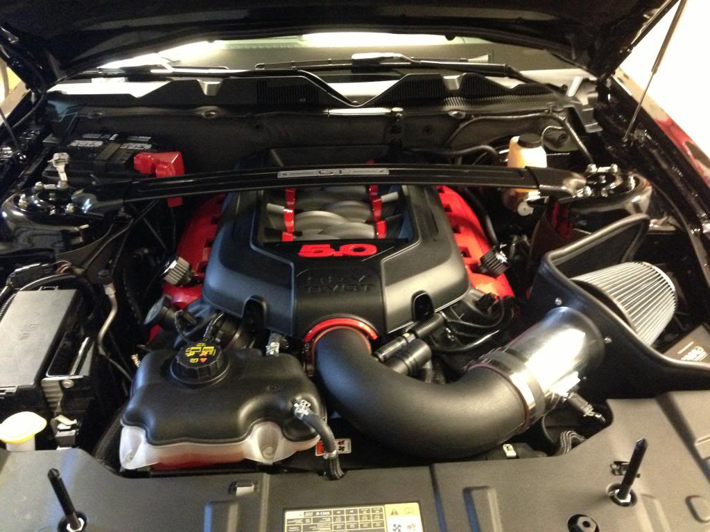 Name:  IMG_0751.jpg
Views: 171
Size:  110.6 KB