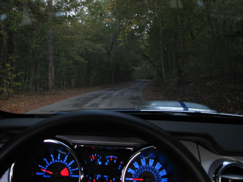 Name:  ef6a27b5.jpg
Views: 118
Size:  72.0 KB