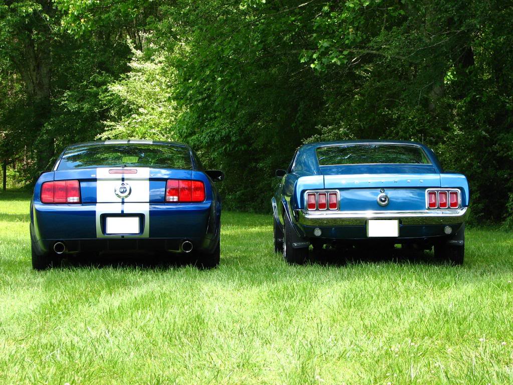 Name:  IMG_4493-1.jpg
Views: 129
Size:  203.6 KB